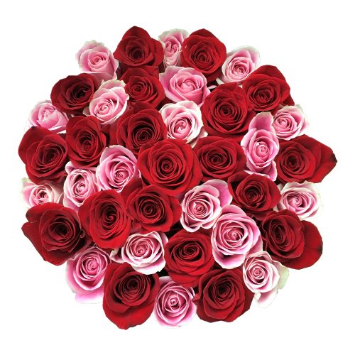 aranjament trandafiri rosii roz walrose signature